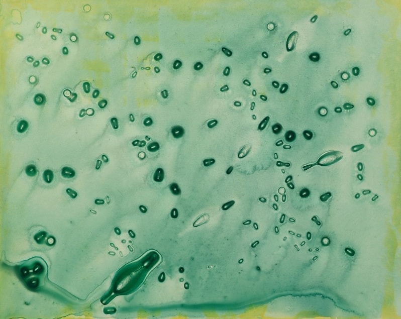 Exhibition: Anne Russinof | Gestural Symphony